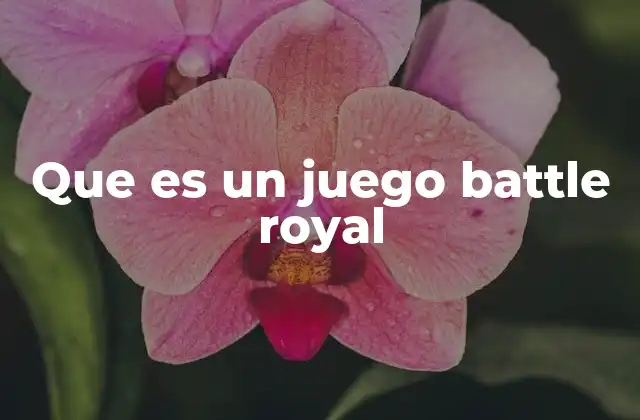 Que es un Juego Battle Royal