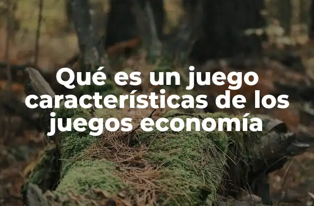 Qué es un Juego Características de los Juegos Economía