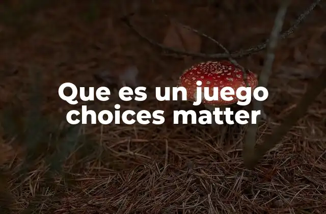 Que es un Juego Choices Matter