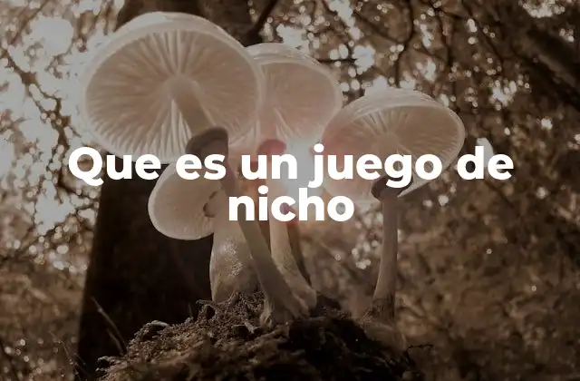 La importancia de los juegos de nicho en la industria