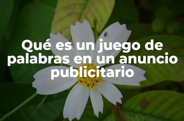 Qué es un Juego de Palabras en un Anuncio Publicitario
