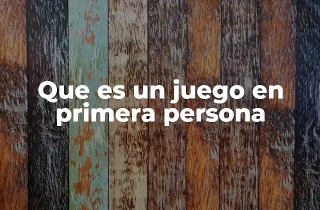 Que es un Juego en Primera Persona