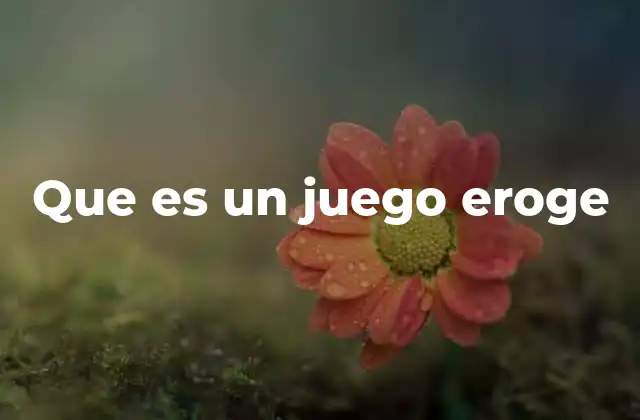 Características distintivas de los juegos eroge