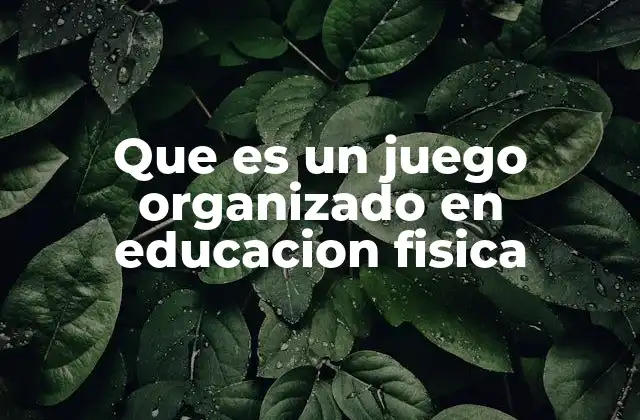 Que es un Juego Organizado en Educacion Fisica