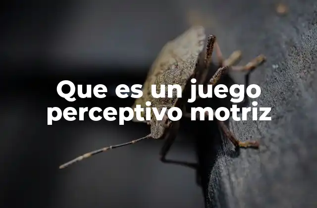 Que es un Juego Perceptivo Motriz