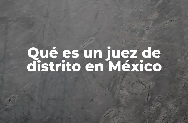 El rol del juez de distrito en el sistema legal federal