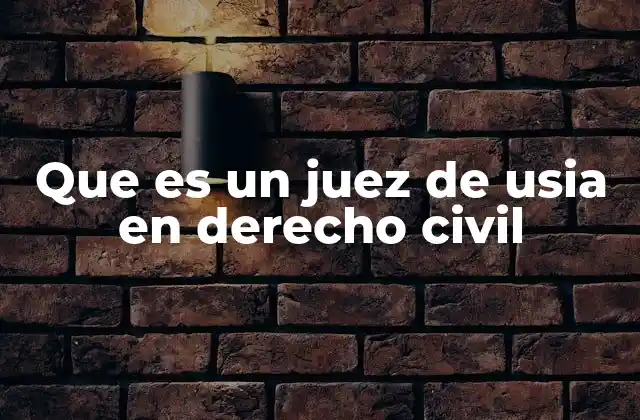 Que es un Juez de Usia en Derecho Civil
