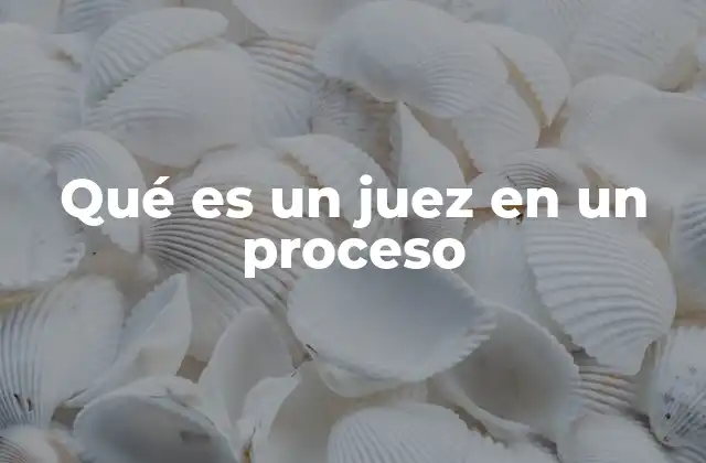 Qué es un Juez en un Proceso
