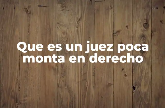 Que es un Juez Poca Monta en Derecho