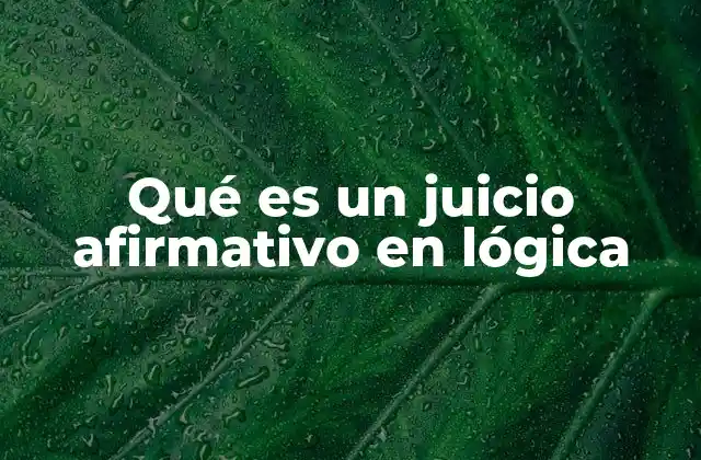 Qué es un Juicio Afirmativo en Lógica