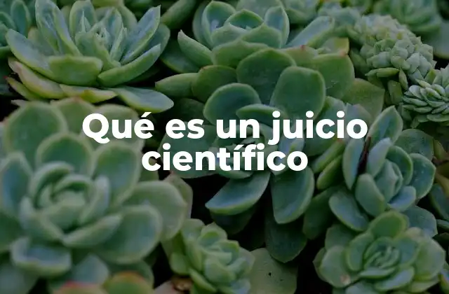 Qué es un Juicio Científico