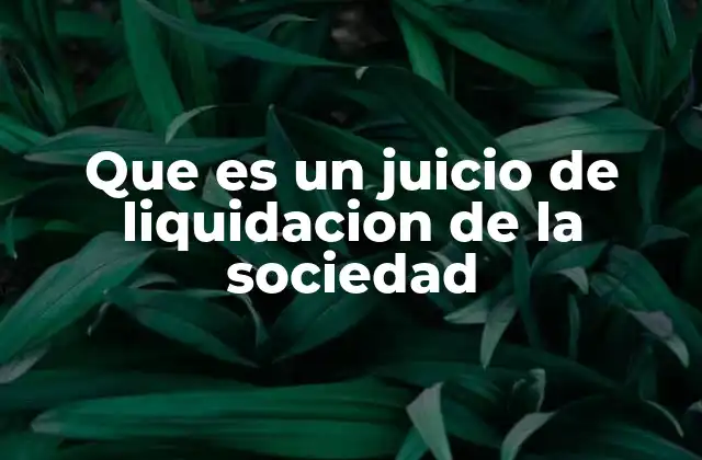 Que es un Juicio de Liquidacion de la Sociedad