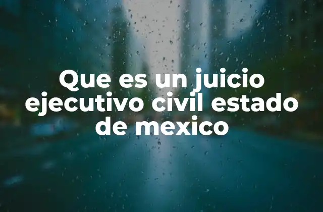 Que es un Juicio Ejecutivo Civil Estado de Mexico