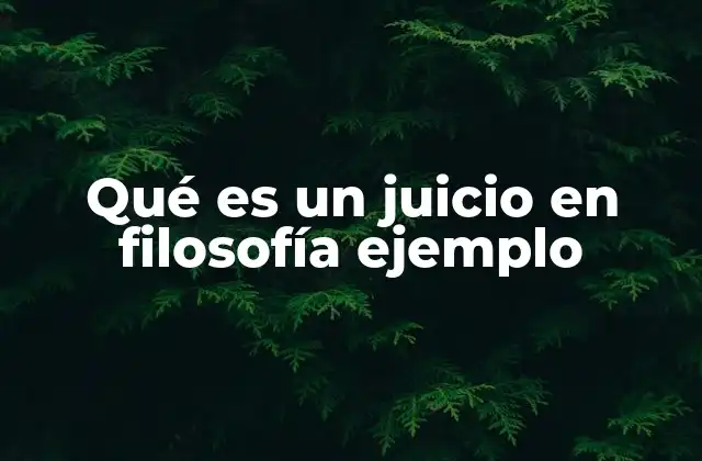 Qué es un Juicio en Filosofía Ejemplo