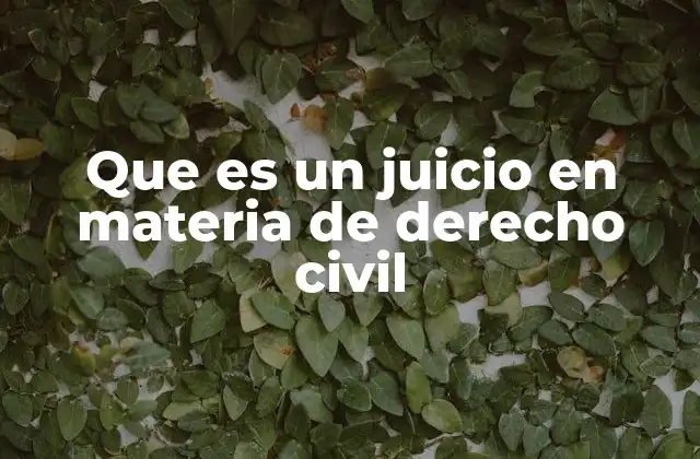 Que es un Juicio en Materia de Derecho Civil