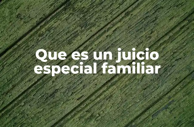 Que es un Juicio Especial Familiar