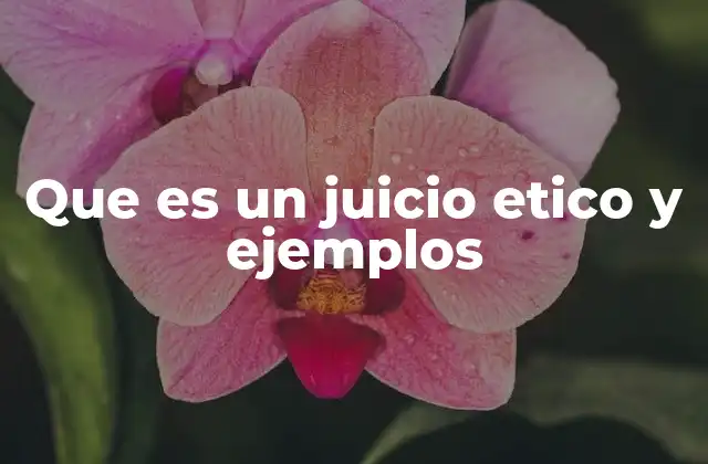 Que es un Juicio Etico y Ejemplos 2 La importancia de los juicios éticos en la sociedad