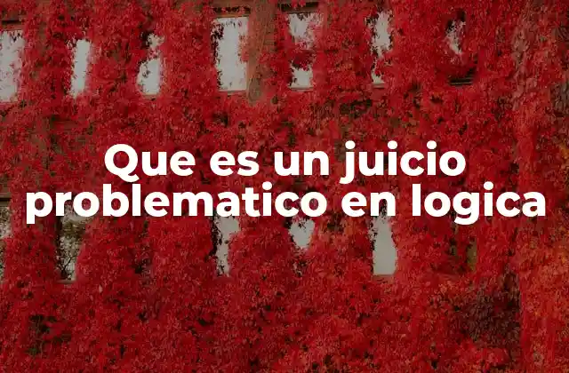 Que es un Juicio Problematico en Logica