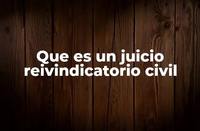 Que es un Juicio Reivindicatorio Civil