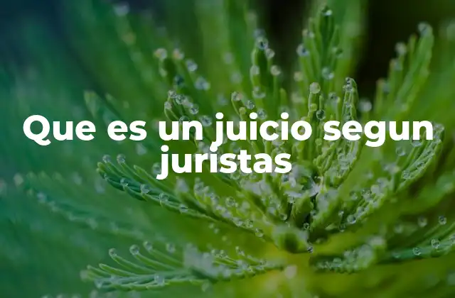 Que es un Juicio Segun Juristas
