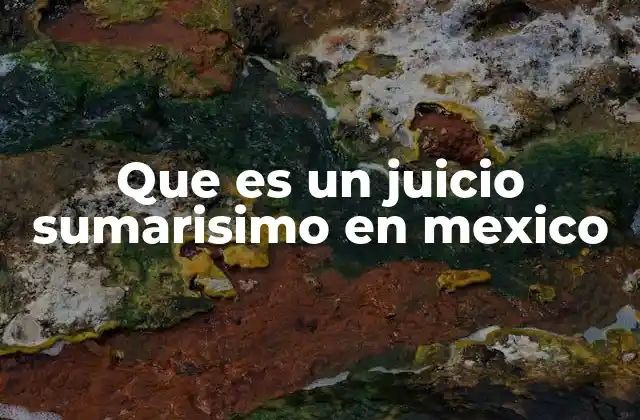 Que es un Juicio Sumarisimo en Mexico