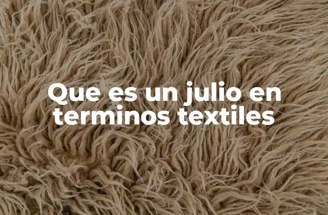 Que es un Julio en Terminos Textiles