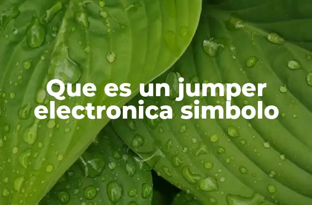Que es un Jumper Electronica Simbolo 2 La importancia del jumper en el diseño de circuitos electrónicos