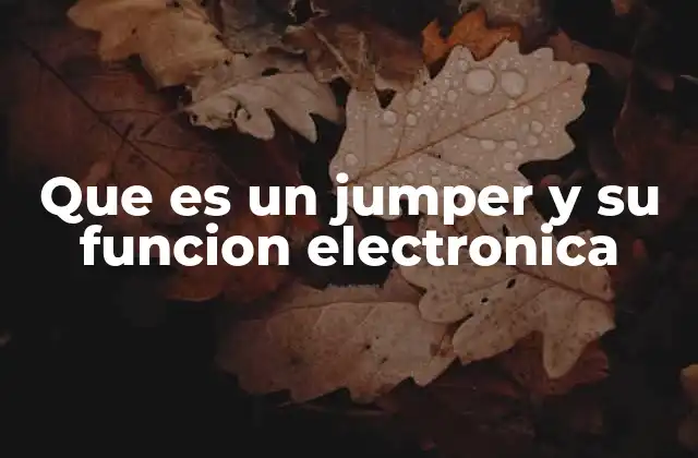 Que es un Jumper y Su Funcion Electronica