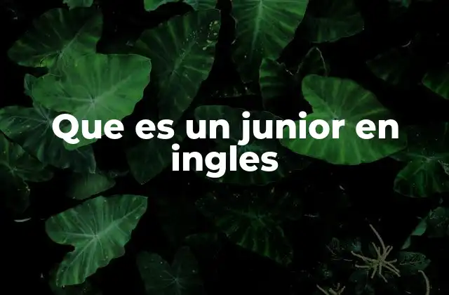 Que es un Junior en Ingles