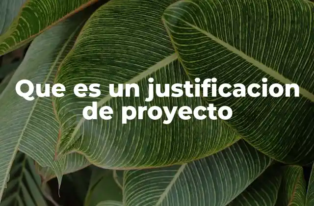 Que es un Justificacion de Proyecto