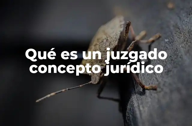 Qué es un Juzgado Concepto Jurídico