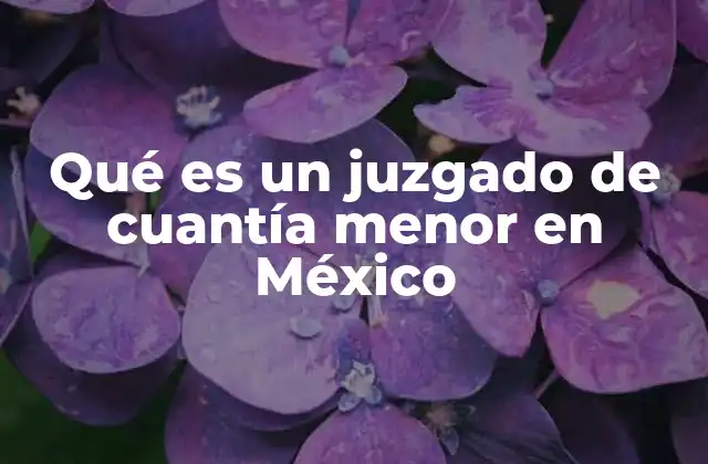 Qué es un Juzgado de Cuantía Menor en México
