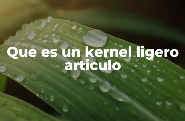 Que es un Kernel Ligero Articulo