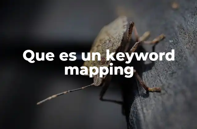 Que es un Keyword Mapping 2 El rol del keyword mapping en una estrategia SEO
