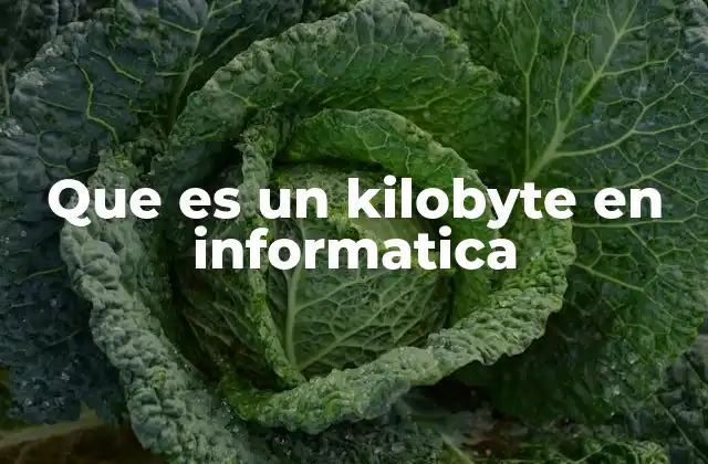 Que es un Kilobyte en Informatica