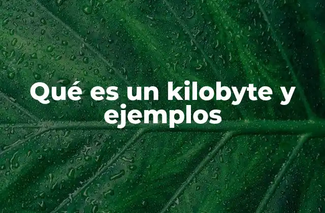 Qué es un Kilobyte y Ejemplos