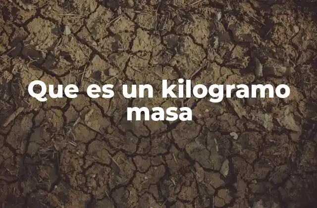Que es un Kilogramo Masa