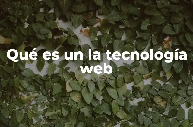 Qué es un la Tecnología Web