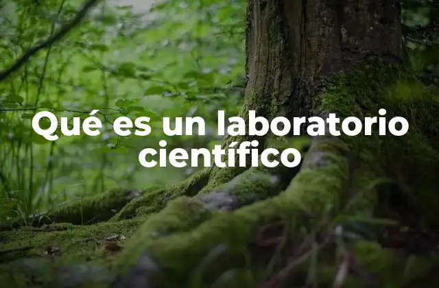 Qué es un Laboratorio Científico