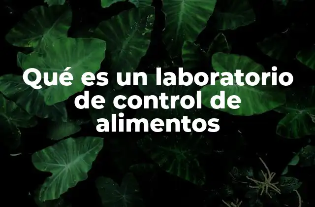 Qué es un Laboratorio de Control de Alimentos
