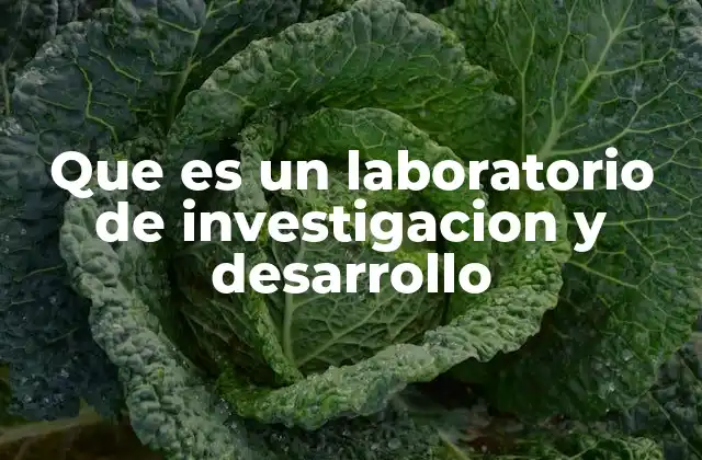 Que es un Laboratorio de Investigacion y Desarrollo