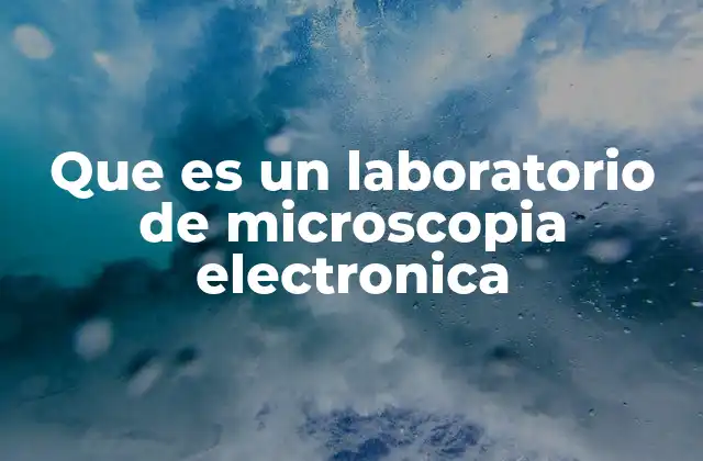 Que es un Laboratorio de Microscopia Electronica