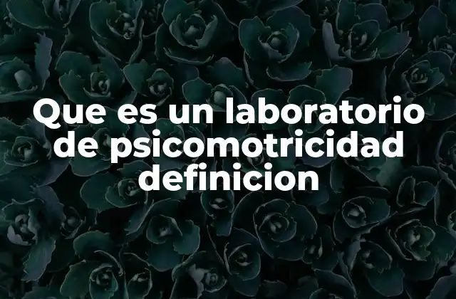 Que es un Laboratorio de Psicomotricidad Definicion