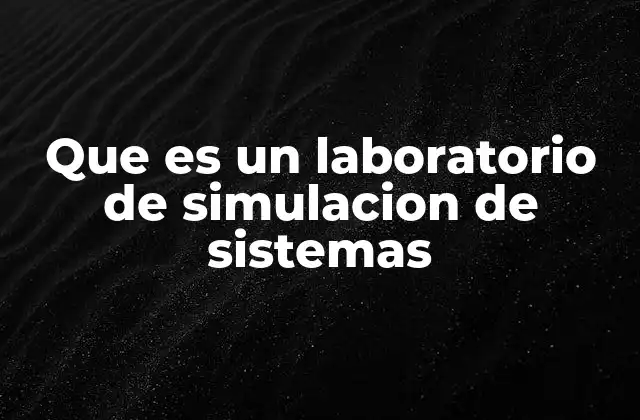 ¿Qué es un laboratorio de simulación de sistemas? (continuación)