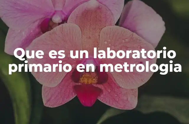 Que es un Laboratorio Primario en Metrologia