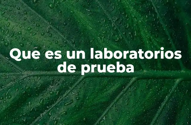 El papel de los laboratorios en la investigación científica