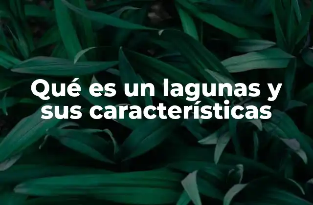 Qué es un Lagunas y Sus Características