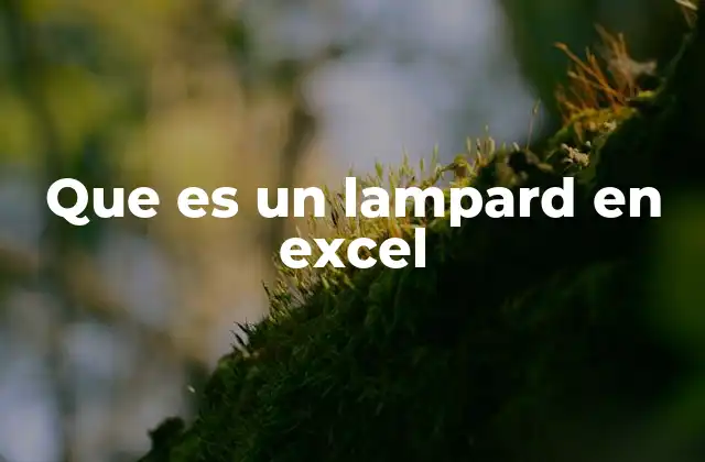 Que es un Lampard en Excel