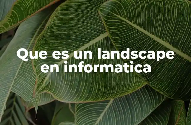 Que es un Landscape en Informatica