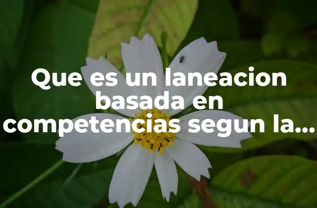 Que es un Laneacion Basada en Competencias Segun la Rieb